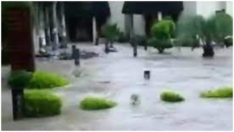 rains