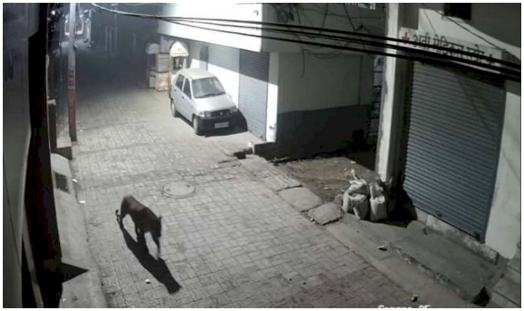 UP Viral Video : नहाते शख्स के पास चुनाव प्रचार के लिए भाजपा विधायक, वीडियो वायरल
