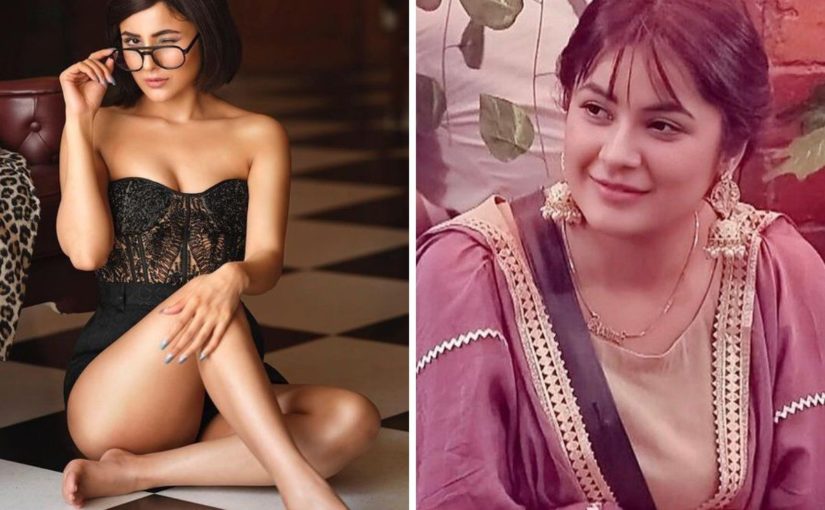 Bigg Boss Fame model : सिद्धार्थ के गम से निकली ” सिदनाज ” कर रही है सोशल मीडिया पर एड, इतने वसूलती हैं पैसे