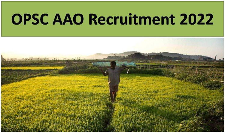 Cabinet Secretariat Recruitment 2022: कैबिनेट सचिवालय में   निकली वैकेंसी, यहां देखे पदों का विवरण