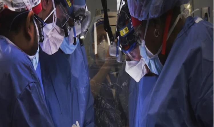 Pig Heart Implant in Human : डॉक्टरों ने इंसान में लगाया सुअर का दिल, जानें पूरी कहानी