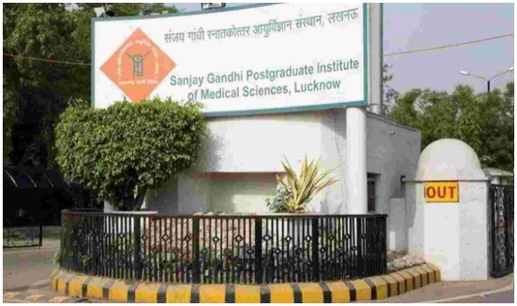 MP लोक सेवा आयोग ने निकाली 895 मेडिकल ऑफिसर के पदों पर भर्ती, अप्लाई करें ऐसे