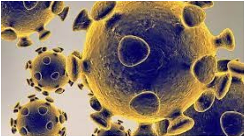 Coronavirus update india: देश में कम हो रहे हैं कोरोना के मामले 24 घंटे में 67597 नए मरीज़