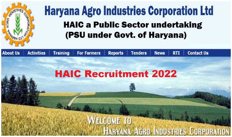 Government Job: सरकारी नौकरी पाने का सुनहरा मौका, 10वीं पास के लिए यहां निकली बंपर भर्ती