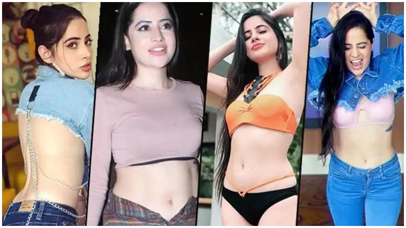 मनोरंजन : फोटो खिचवाने आया शख्स तो उर्फी ने की ये हरकत