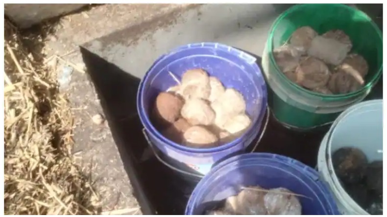 Bhola Yadav Arrested: लालू यादव के खास भोला यादव गिरफ्तार, नौकरी के बदले जमीन लेने के मामले में CBI ने की कार्रवाई