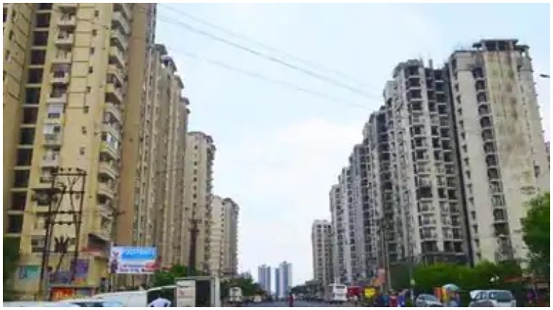 नोएडा : पालतू कुत्तों और बिल्लियों के लिए नए निर्देश! जान लें नहीं तो लगेगा जुर्माना