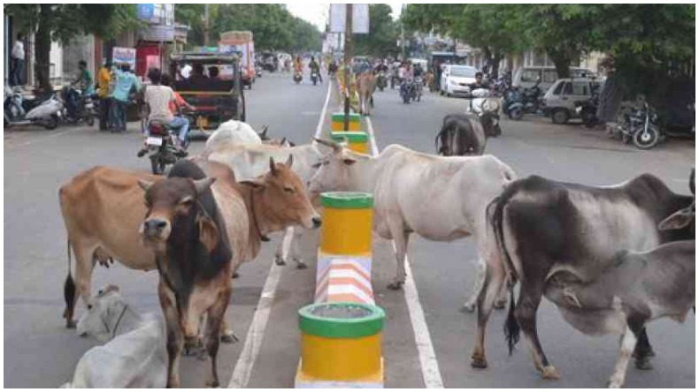 जानिए क्यों देश में बढ़ रहा है कोयला संकट, ये है बड़ा कारण