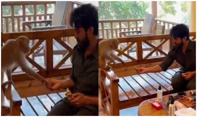 Fawad Khan की पाकिस्तानी फिल्म ने RRR को भी पछाड़ा! विदेशों में छाई