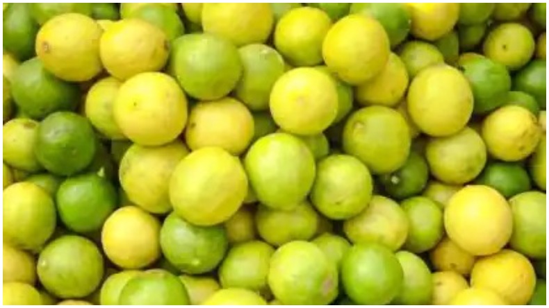 Delhi Tomato Price: दिल्ली में आसमान छू रहीं हैं टमाटर की कीमतें, वजह जान चौंक जाएंगे