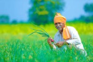 PM Kisan Yojana: 17वीं किस्त का पूरा लाभ उठाने के लिए करें ये काम
