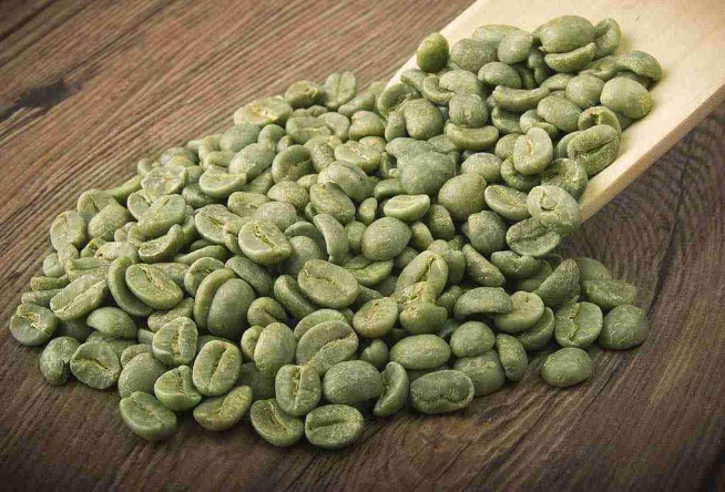 Health Tips: बीमारियों से रहना दूर, तो इस तरह पिएं दूध