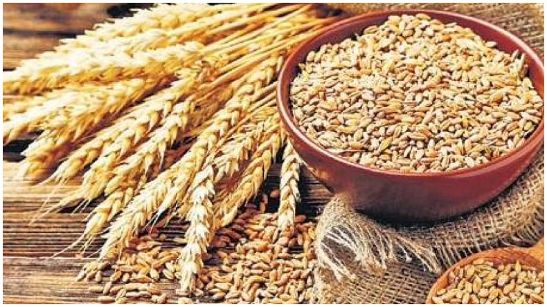 UP News:योगी ने विधायकों को दी चेतावनी, कहा- ‘ठेके-पट्टे, ट्रांसफर और पोस्टिंग से रहें दूर’