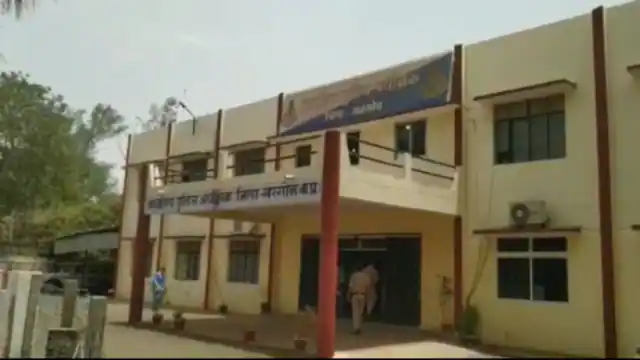 MP Local Body Election Results: 16 में से 9 नगर निगम में खिला भाजपा का कमल, कांग्रेस मना रही है जश्न