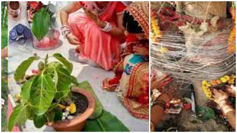 Vat Savitri Vrat 2024: जानें वट सावित्री व्रत पर किस विधि से करें पूजा, पति की लंबी आयु के लिए होता है व्रत