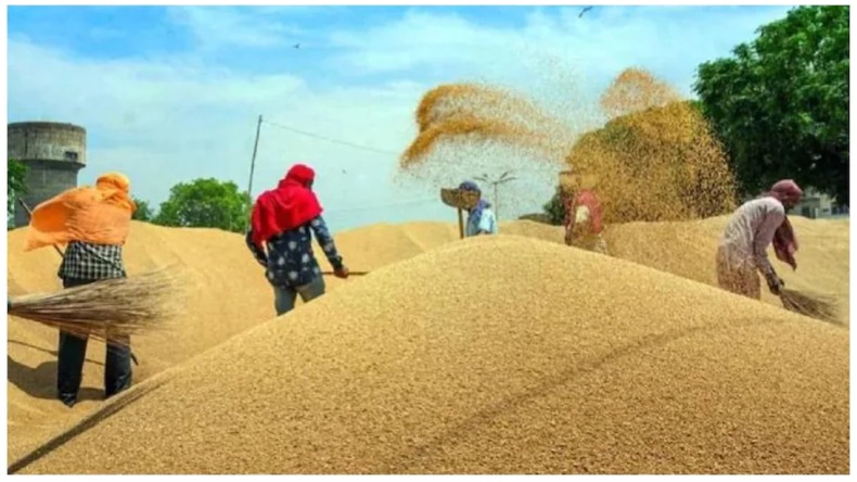 निकाय चुनाव से पहले वरूण गांधी ने सीएम योगी से कर दी बड़ी मांग