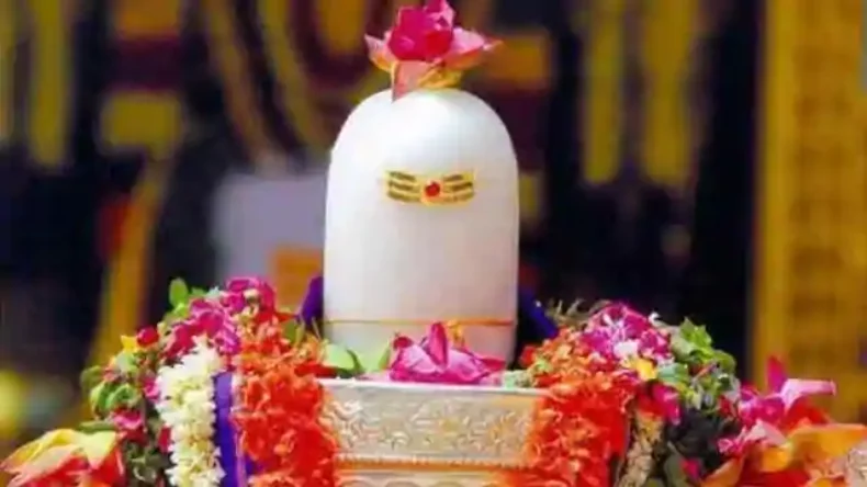 सावन में ये पांच पौधे लगाने से हो जाएंगे मालामाल, सदैव रहेगी शिव-लक्ष्मी की कृपा