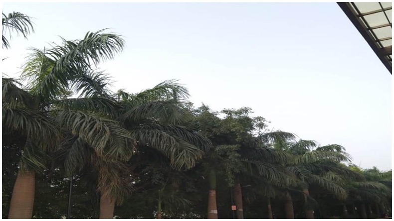 Weather Update: बिहार के 17 शहर लू की चपेट में, 24 घंटे में बदलेगा मौसम; राहत भरी बरसात के आसार