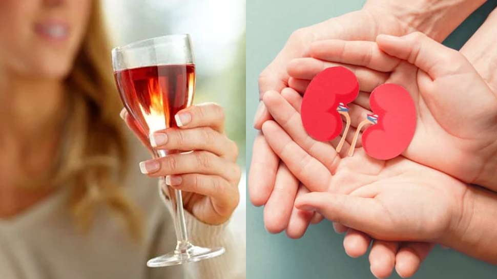 कूनो नेशनल पार्क में नामीबिया से लाई जाने वाली मादा चीता की मौत