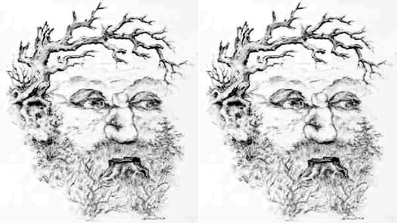Optical Illusion: तस्वीर में छुपी हुई है एक लड़की, सिर्फ जीनियस को दिखेगा फोटो का राज