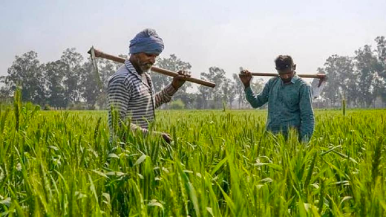 दिल्लीवासियों का घुट रहा दम, पंजाब ने पराली जलाने का  बनाया नया रिकॉर्ड!