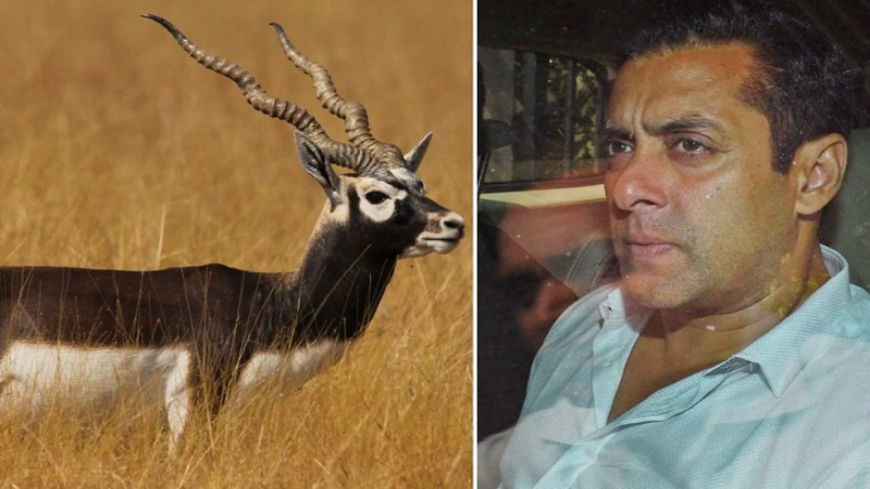 गौरवशाली इतिहास का प्रतिनिधित्व करता है राजस्थान… जोधपुर में बोले पीएम मोदी