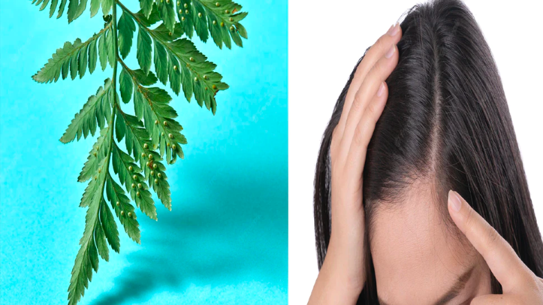 Health Tips: रोजाना खाएं ये दाल, दूध से भी ज्यादा मिलेगा कैल्शियम