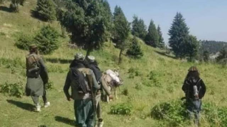 रूस ने तालिबान को बताया अफगानिस्तान की असली ताकत, 21 साल बाद आतंकी संगठनों की सूची से हटाएगा