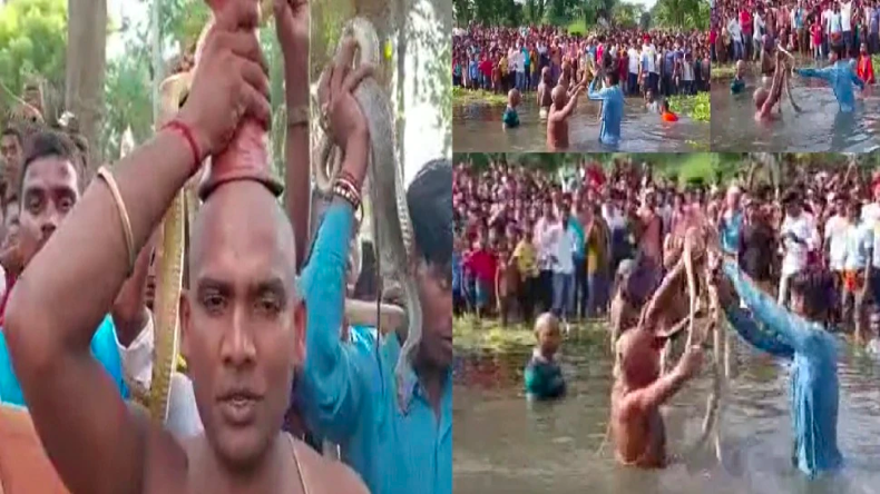 गवर्नमेंट कॉलेज के महिला शौचालय में दिखा कुछ ऐसा डरावना नजारा वीडियो वायरल