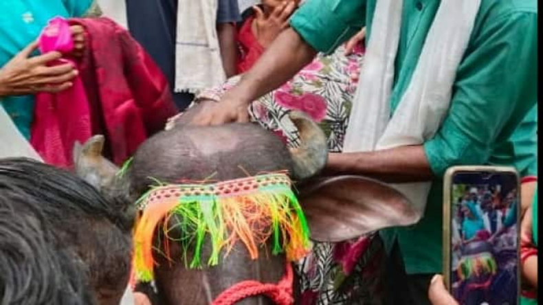 हरदोई में भी कंझावला जैसी बर्बरता, साइकिल सवार छात्र को कार ने घसीटा
