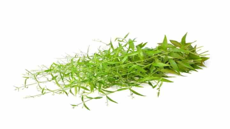 Healt Tips: क्या आप डायबिटीज के मरीज है?, डिनर में इन चीजों को करें शामिल