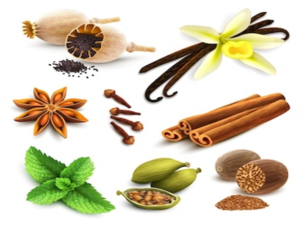 Balancing Hormones: इन नेचुरल हर्ब्स की मदद से हार्मोन को कर सकते है बैलेंस, देखें लिस्ट
