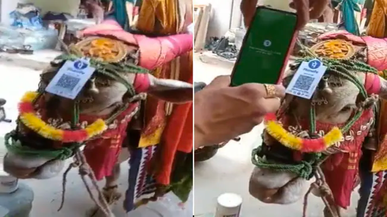 मिस्ड कॉल, नमो एप, वेबसाइट और क्यूआर कोड स्कैन कर भी बन सकेंगे मेंबर, जाने यहां कैसे…