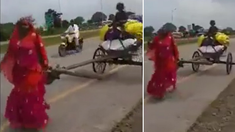 माँ के संघर्ष की कहानी, बच्चे भूखे न रहे इसलिए बैलगाड़ी खींचती है महिला