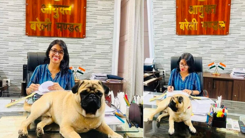 चोरी के शक में युवक को पहले पीटा फिर ट्रेन से फेंका नीचे, दूसरी ट्रेन से कटकर मरा