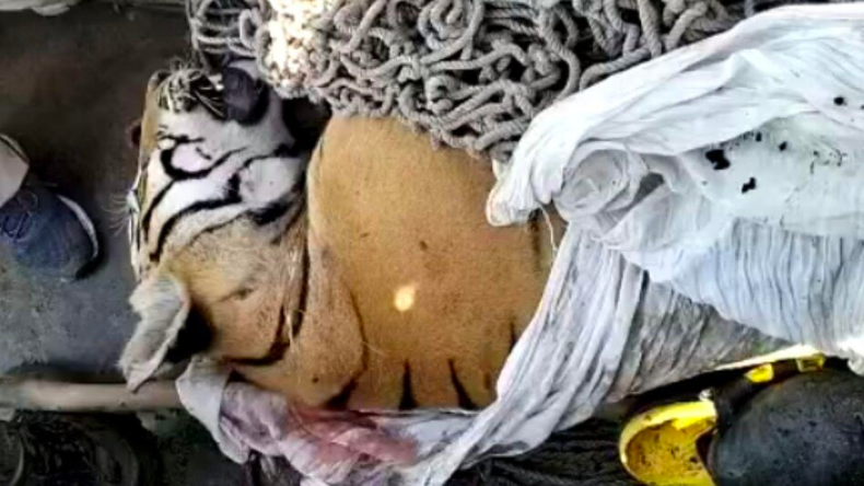 तेज प्रताप का हाई वोल्टेज ड्रामा, बोले श्याम रजक ने दी गाली