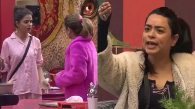 Bigg Boss 16 :टीना दत्ता नहीं होंगी घर से बेघर, इस कंटेस्टेंट का सफर हुआ ख़त्म