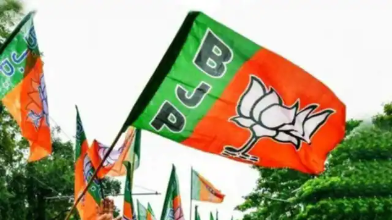 केजरीवाल को मारना चाहती है बीजेपी, मनोज तिवारी ने रची है साजिश- मनीष सिसोदिया