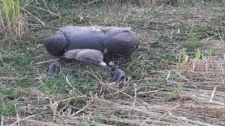 मिथिलांचल के लोगों पर तेजस्वी का दिल पिघला, दरभंगा पहुंचते ही किया बड़ा ऐलान