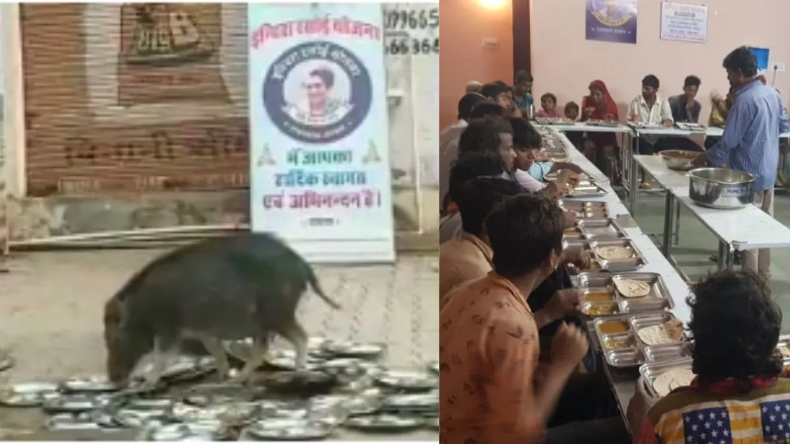 40 किलो की बॉडी 100 किलो का जिगरा…तेंदुए से बिना डरे भिड़ गया शख्स, फिर जो हुआ…Video देख निकल जाएगी रूह