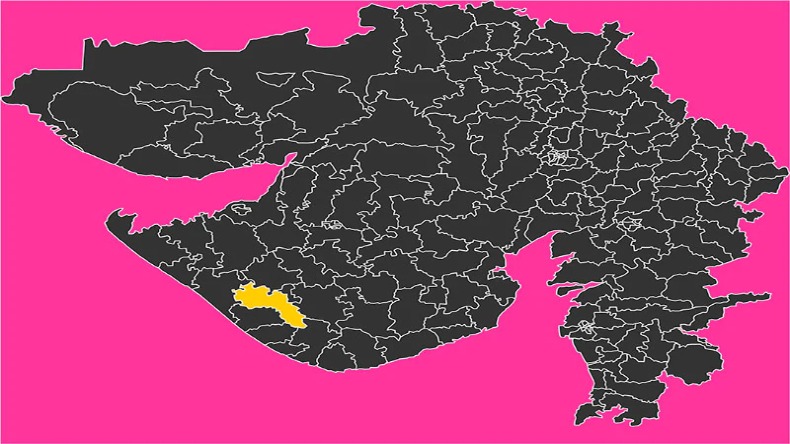 नई दिल्ली : जूनागढ़ की 5 विधानसभा सीटों में से एक सीट माणावदर में क्या है ख़ास?