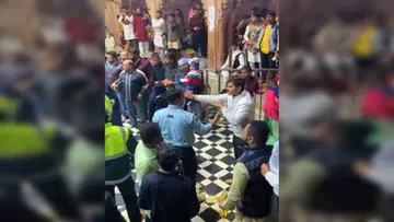 पेड़ों के हरे पत्ते खाने पर मालिक के खिलाफ केस दर्ज, कई भैंसें गिरफ्तार