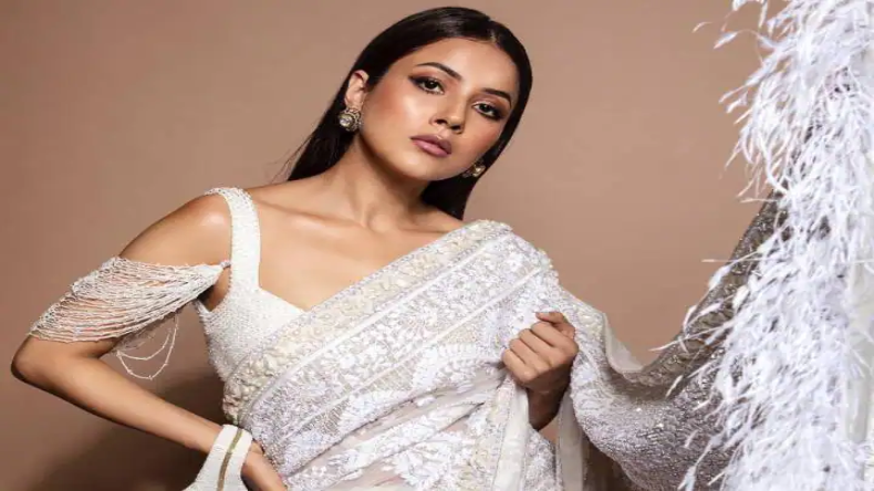 शहनाज गिल ने सिद्धार्थ शुक्ला के साथ अपने रिश्तें को कबूला, अभिनेत्री बोली वो इतना हैंडसम था कि मैं…