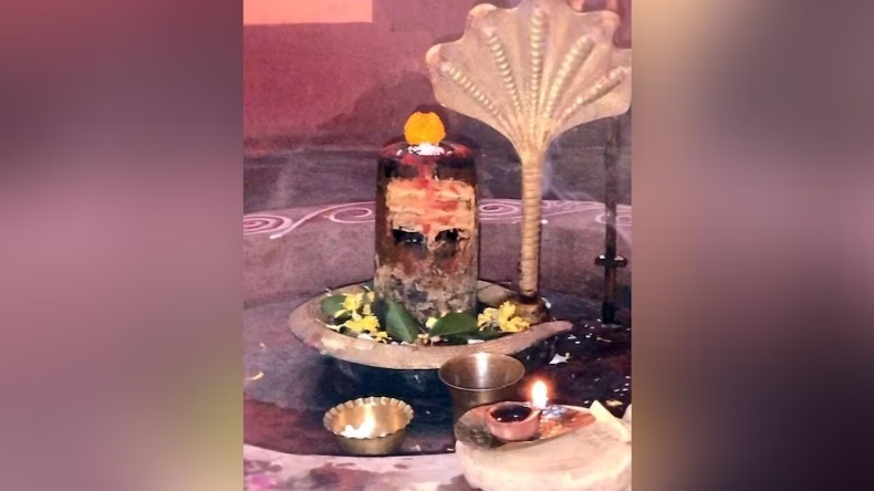 हावड़ा हिंसा पर BJP ने उठाई NIA जांच की मांग, कोर्ट पहुंचा मामला