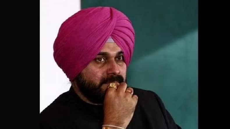 Punjab Flood: पंजाब में बाढ़ से बर्बाद फसल, भारत-पाक सीमा के नजदीक कई घर तबाह