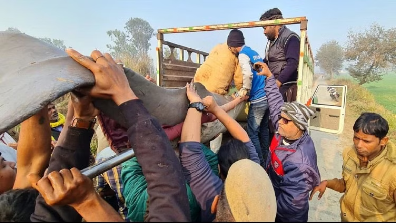 दिवाली पर पुलिस को मिली बड़ी सफलता, 80 किलो चांदी और 14 लाख की नगदी जब्त