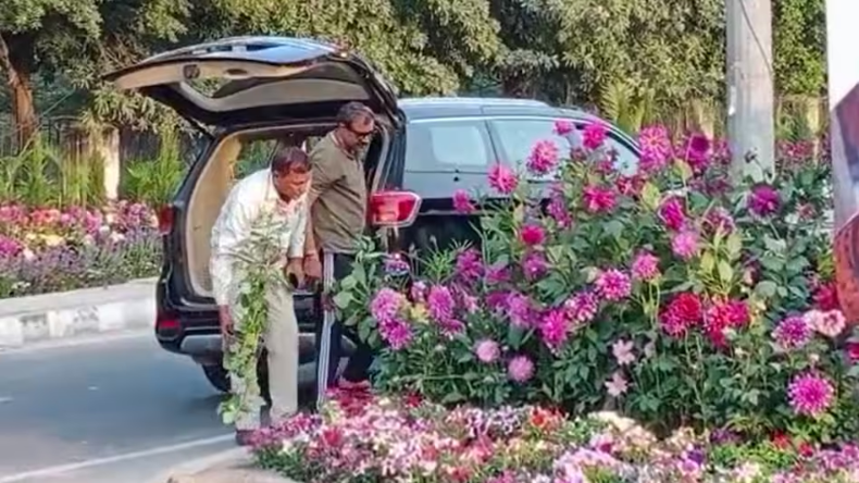 मसूरी में 71 lamborghini की लगी कतार, नजारा देख रह जाएंगे हैरान