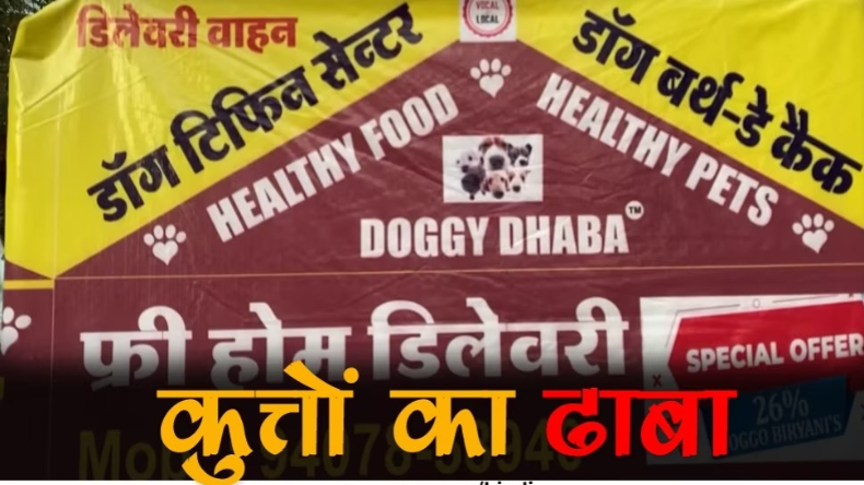 एक तरफ दुल्हन तो दूसरी तरफ गोल्ड, शादी में सोने से तौला! VIDEO