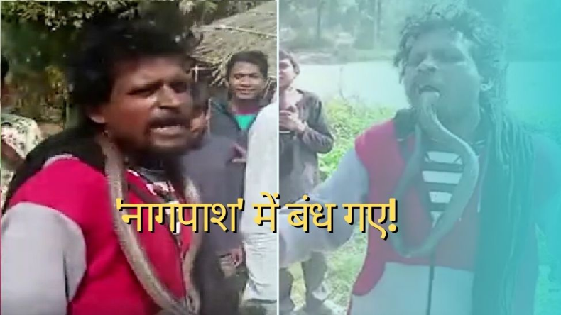 राजस्थान में सांप का कहर, एक ही परिवार के 5 लोगों को डसा, दो की मौत
