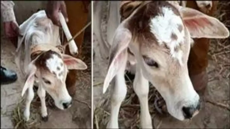 Mysterious Places: दुनिया की कुछ रहस्य्मयी भरी जगह जिसे देख वैज्ञानिक भी रह गए दंग